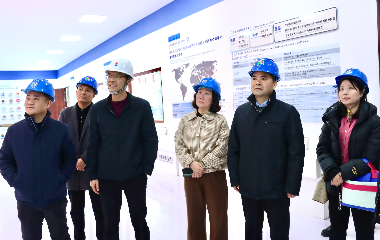 陽(yáng)光電源股份、宜賓智能制造行業(yè)協(xié)會(huì)、宜賓安徽商會(huì)調(diào)研遠(yuǎn)東電纜（宜賓）